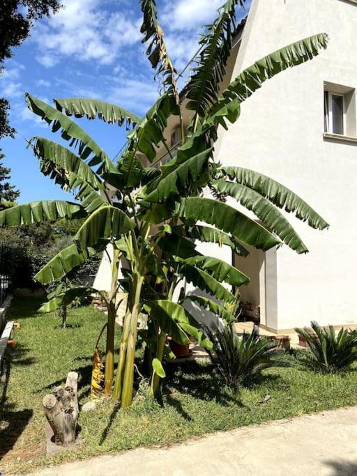 Apartamento Casa Woow Carini Exterior foto